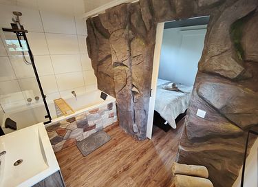 Lodge dans les bois avec bain à remous privé à Drenthe - 15