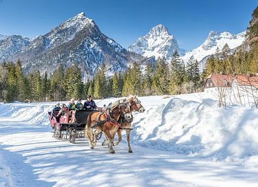 Luxury aparthotel in the Austrian alps - 3