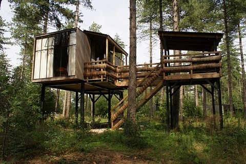 Treehouse in the forest - 5