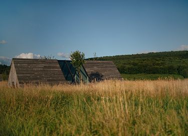 Luxe natuurhuisje in de Ardennen - 23