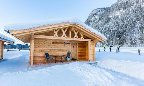 Knusse cabin voor 2 in de Alpen - 3