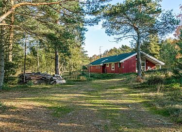 Gezellig vakantiehuis midden in het bos - 15