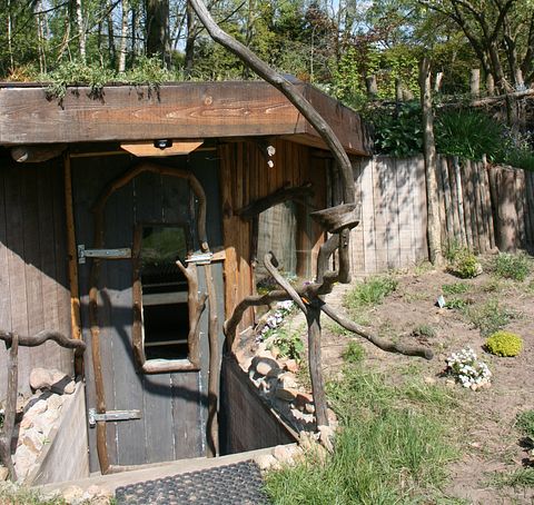 Hobbit house on campsite in Drenthe - 2