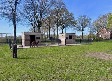 Tente safari de luxe avec bien-être dans le Brabant - 18