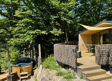 Chalet (2p) met Scandinavisch bad in de Elzas - 1