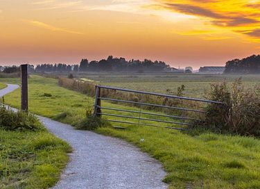 Knus huisje aan een visvijver in het groen - 25