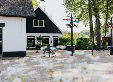 Tiny huisje met privéterras in Gelderland - 65