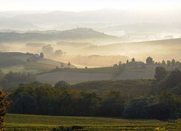 ferienwohnungen mit blick auf die weinberge - 38