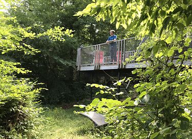 Lodge avec vue imprenable dans les Ardennes - 2