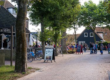 Villa pour 8 personnes près de la mer à Ameland - 25
