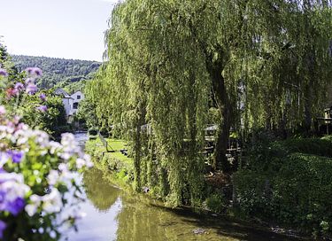 Luxe boutique hotel in de Ardennen - 29