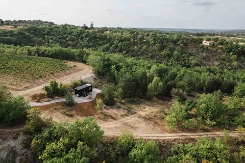 Ein Aufenthalt in den Weinbergen Frankreichs - 3