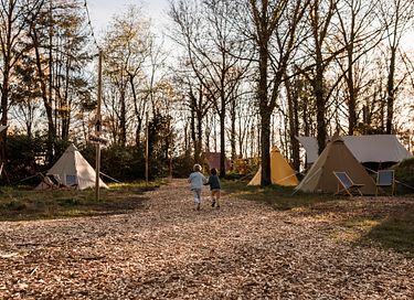Glamping met de familie in Brabant - 12