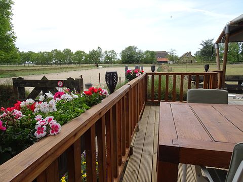 Luxe glamping in Noord-Holland - 4
