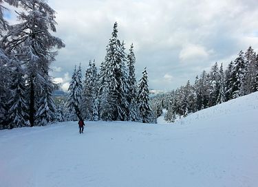 Chalet bien-être avec vue magnifique - 46