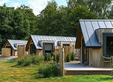 Wooden lodge in Friesland with private wellness