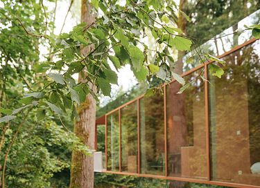 Glashütte in den Ardennen - 26