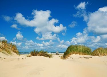 Studio acceptant les chiens (2 personnes) à Terschelling - 35