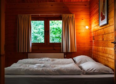 Chalet pour animaux (Veluwe) - 21