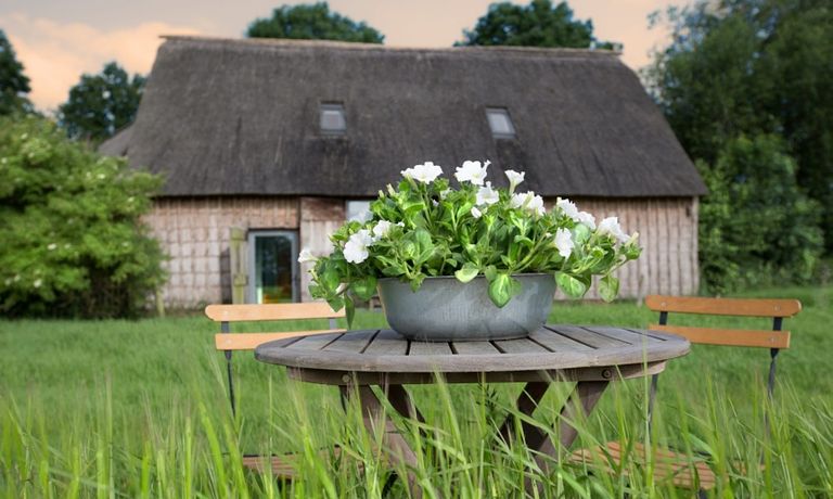 Nuitée unique dans un gîte à Drenthe - 1