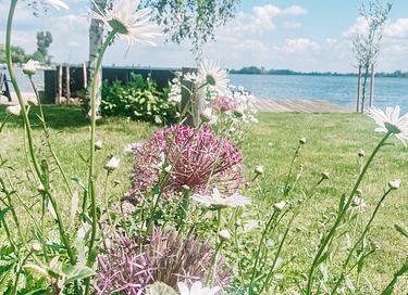Uniek privé-eiland met tiny house & salonboot - 36