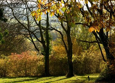 Comfortable stay for two in Limburg - 24