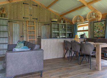Luxe familielodge met hottub in Twente - 12
