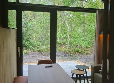 Tiny House voor 4 personen - 4