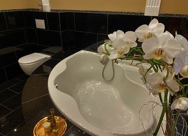 Appartement met luxe bad dichtbij bos - 2