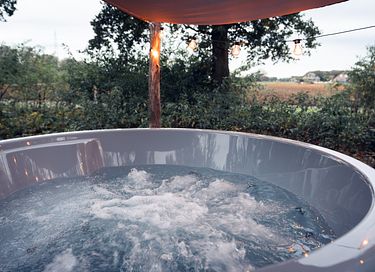 Gîte forestier avec bain à remous privé à Overijssel - 21