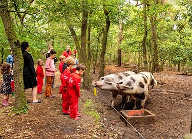 Duurzame boerderijvakantie in Brabant - 18
