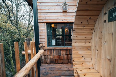 Lodge de luxe dans les arbres avec sauna - 4