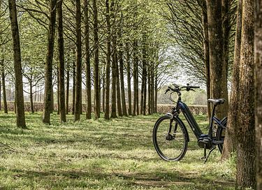 Lodge (sleeps 4) with wellness facilities in Overijssel - 24