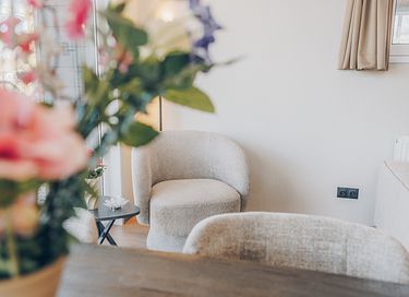 Luxe vakantiewoning (6 personen) op een park - 9