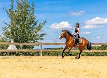 Glamping dans une ferme équestre et laitière - 12