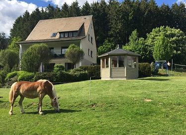Maison de campagne spacieuse avec sauna privé et cabane de barbecue - 50