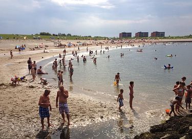 Séjour confortable avec chien en Zélande - 22
