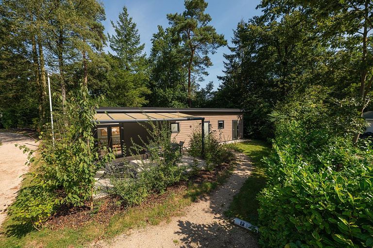 Lodge für 5 Personen in bewaldetem Gebiet - 1