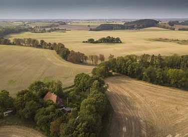 Rustic stay in rural setting - 30