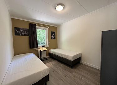 Chalet with large garden and private hot tub - 10