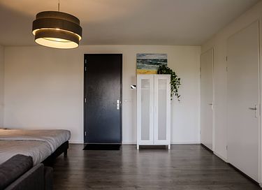 Séjour confortable avec chien en Zélande - 9