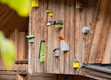 Ferienhaus in der Natur in einem bewaldeten Gebiet - 12
