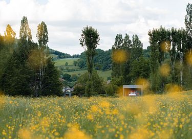 Panoramic suite in Burgundy - 27