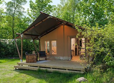 Tente safari de luxe avec grande terrasse à Twente - 3