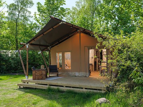 Tente safari de luxe avec grande terrasse à Twente - 3