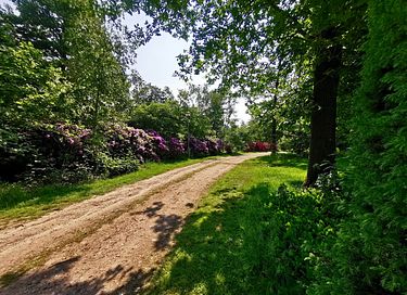 Romantische safaritent (2p) met ligbad - 13