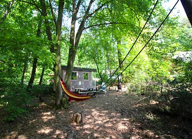 Einzelner Zirkuswagen im Wald - 6