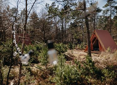 Tweepersoonstent op glamping op de Veluwe  - 2