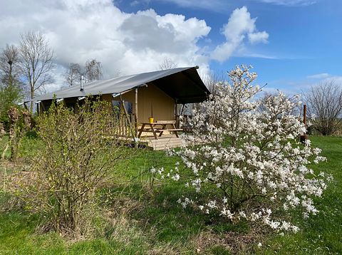 Spacious glamping tent (4p) by the water - 5