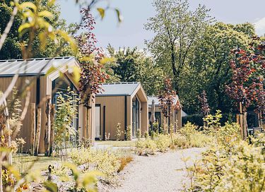 Tiny House mit Whirlpool auf der Veluwe - 16